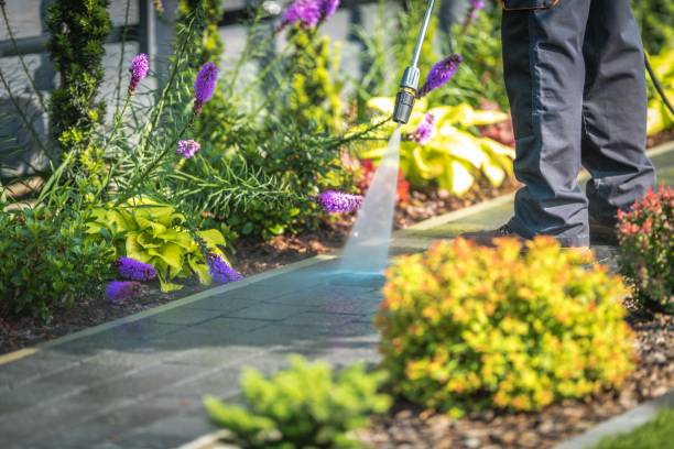 Best Parking Lot and Garage Cleaning  in Lackawanna, NY